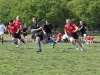 img_7596 img_7596