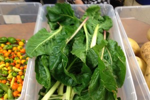 Greens from the harvest