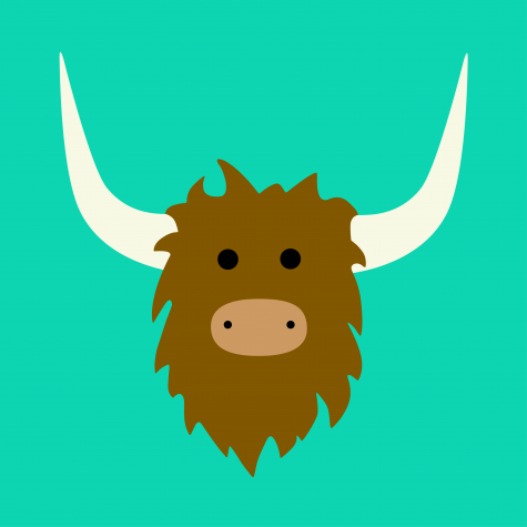 Whats All the yak about Yik Yak?