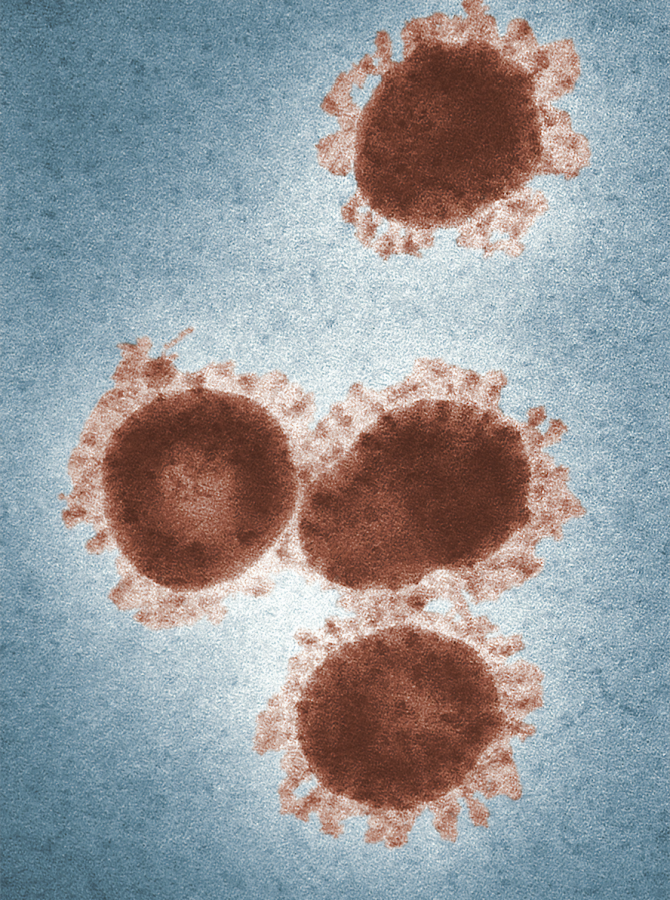 MD+Confirms+2+cases+of+Coronavirus+in+MoCo