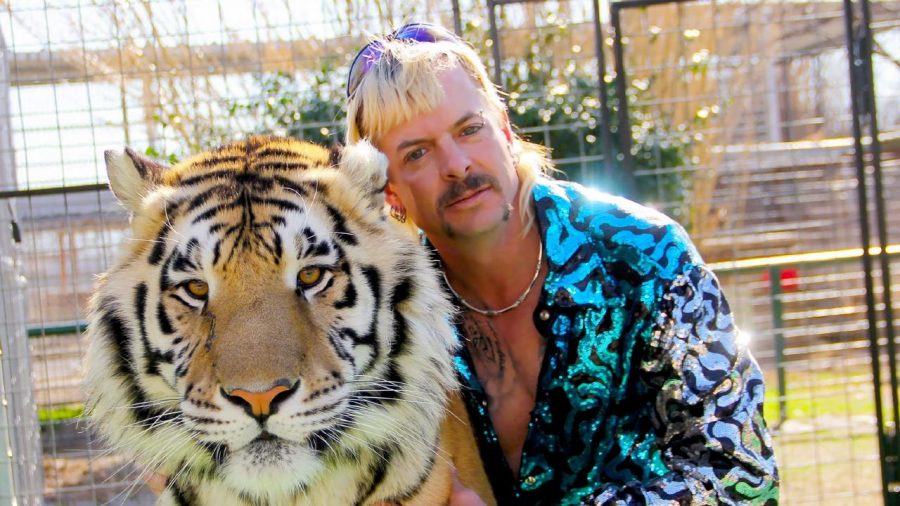 Star+of+Tiger+King+Joe+Exotic.