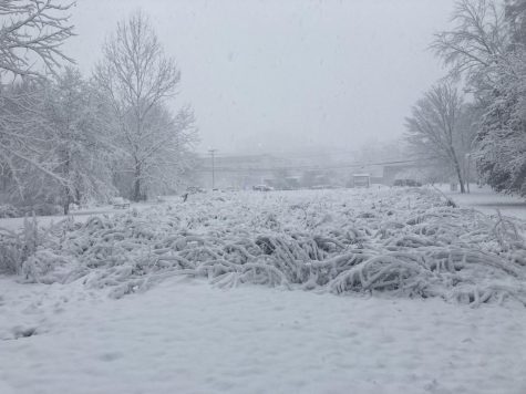 Snow dominating plants in a field near Prince Georges Community Center. Cred: Mia Helfrich