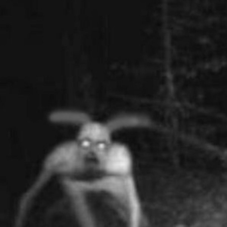 Podcast: The Prince Georges County Goatman