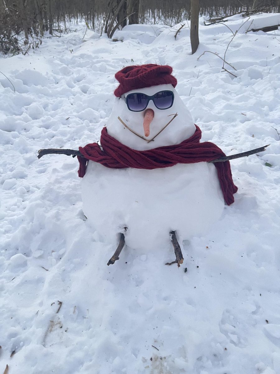 Snow extended the holiday cheer exploiting every student's childlike wonder.