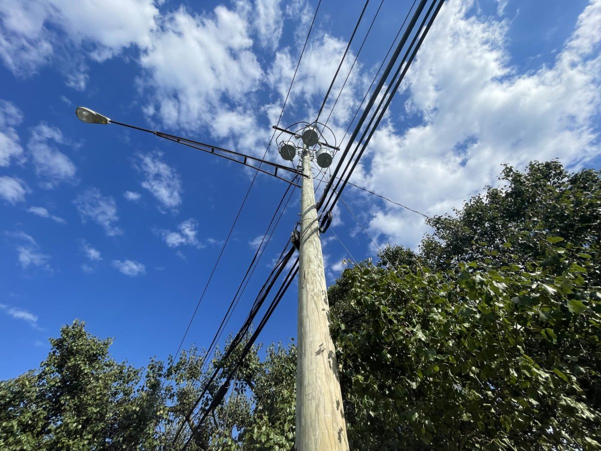 The World Famous Greenbelt Utility Pole