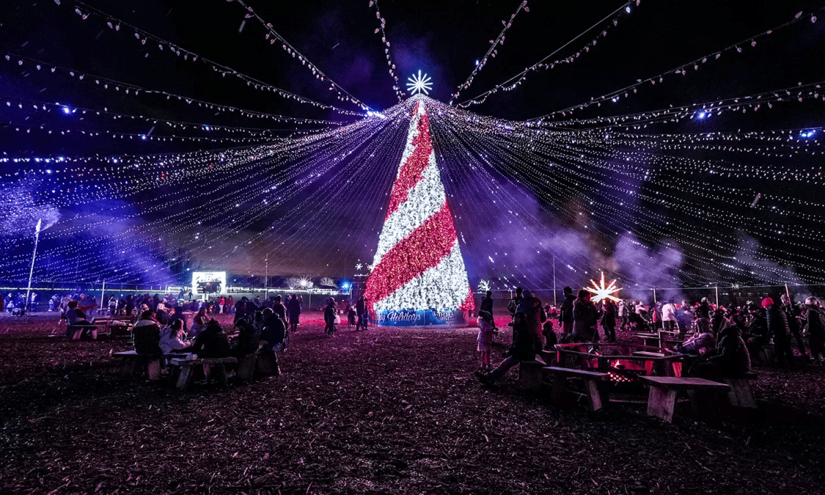 Fun Winter Activities to Do in the DMV Area