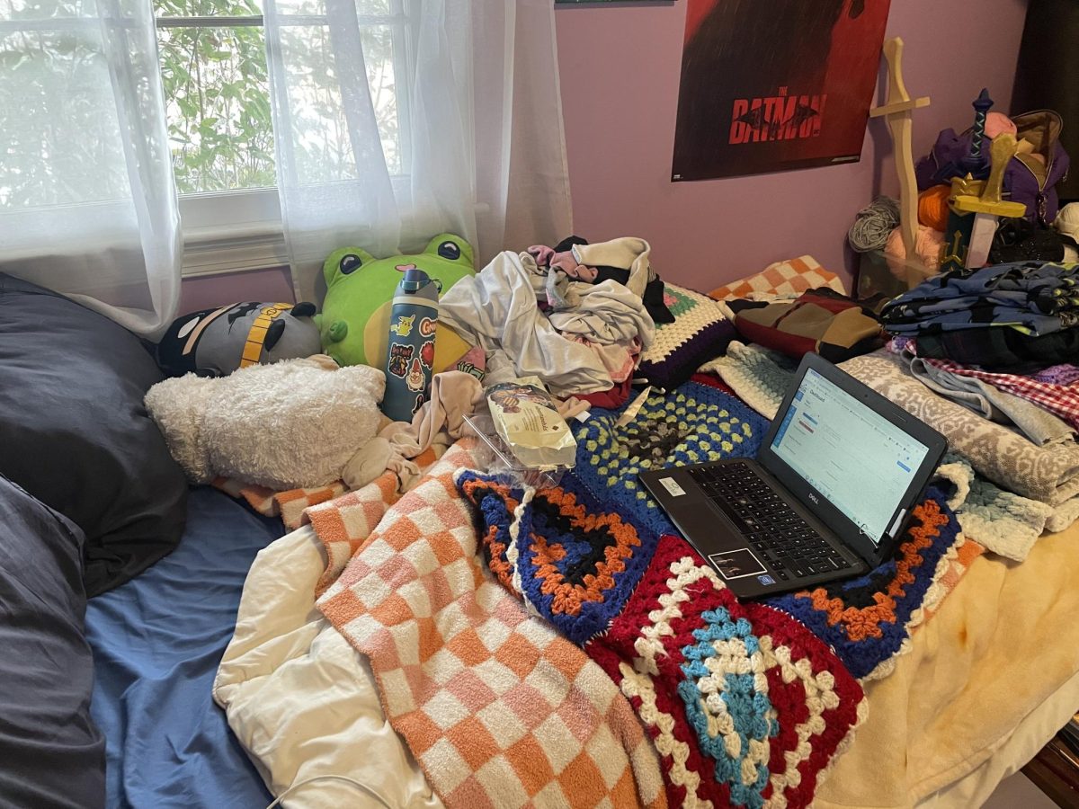 Pepper Young's virtual learning setup.
