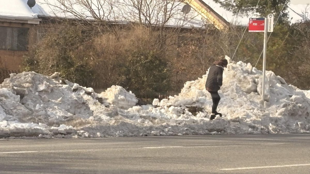 Storm Impacts Student Commute